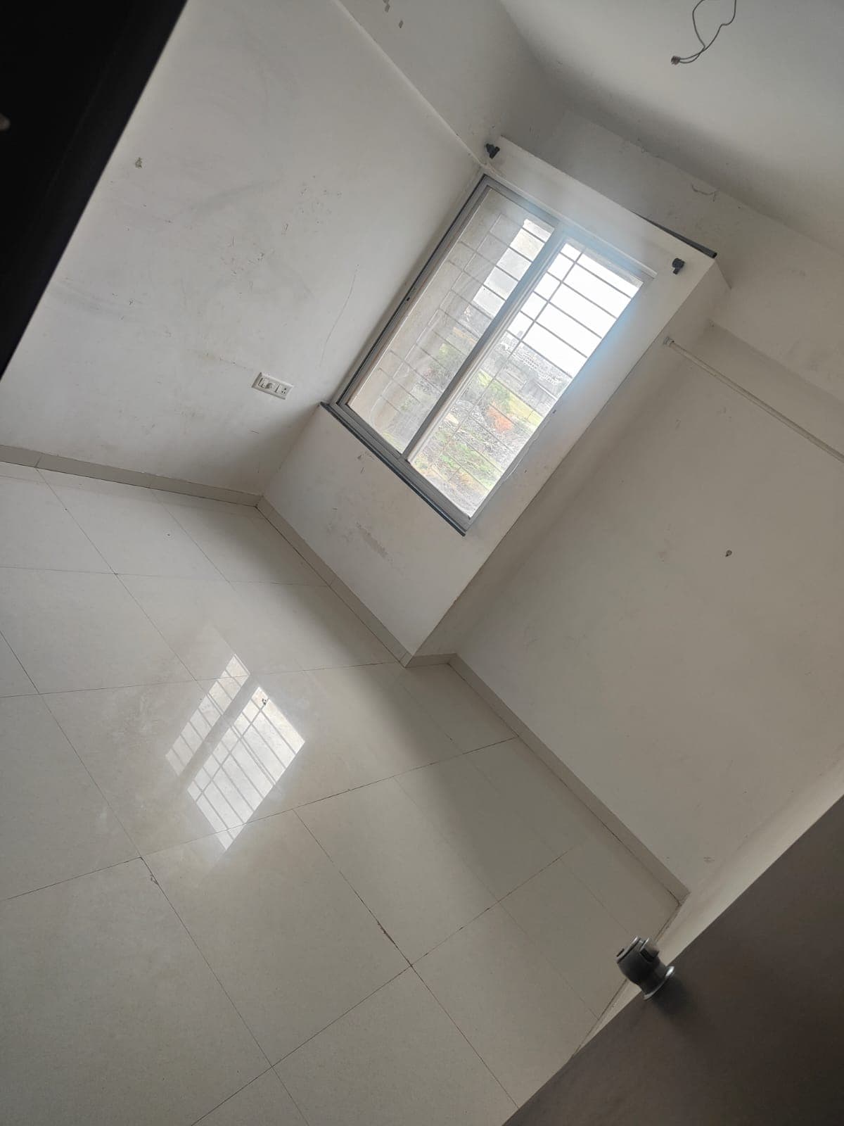 More photos